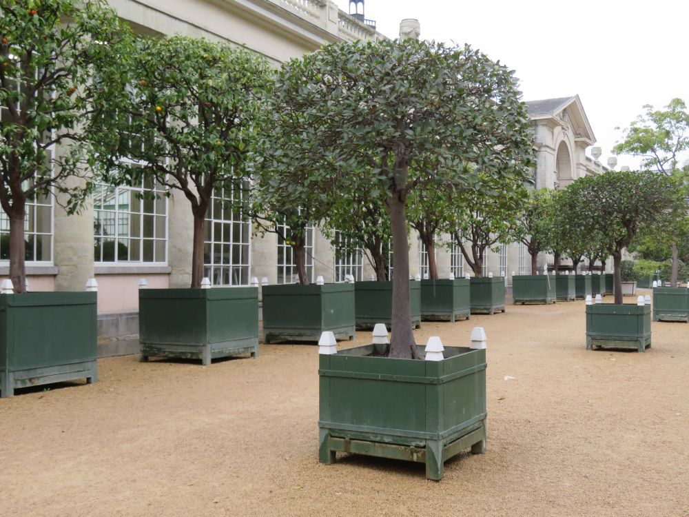 Case Royal Greenhouses Laeken 2