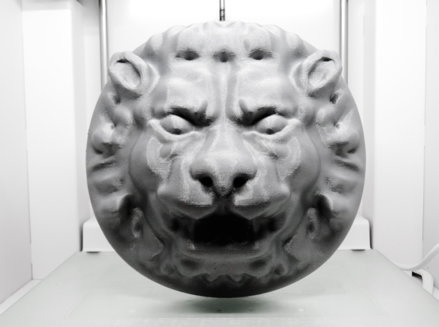 Case Replica Lion Head