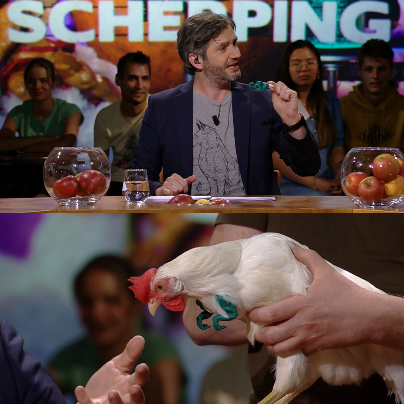 Scheire & De Schepping